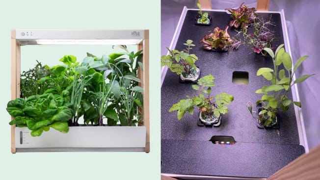 tabletop hydroponic growing system with herbs