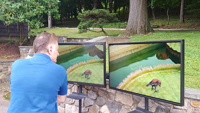 person evaluating quality on two outdoor TVs