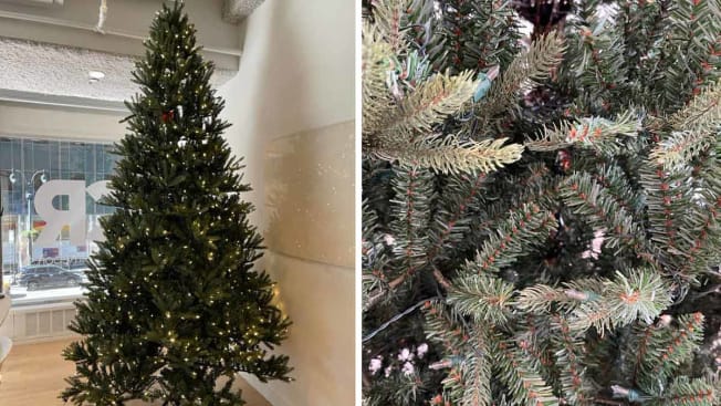 split image of full Member's Mark 9' Bristle Fir Christmas Tree and detail of needles