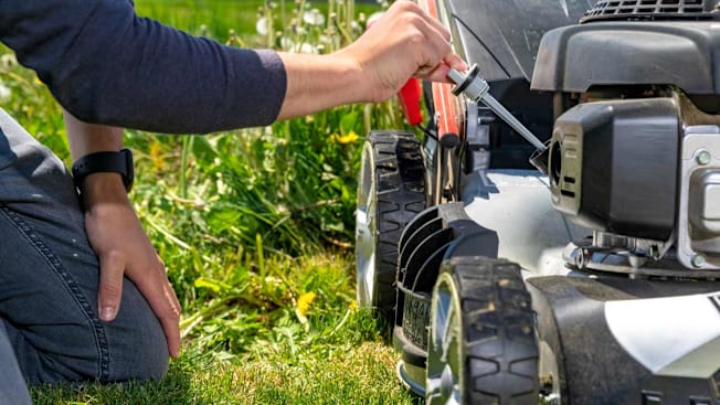 detail of person checking oil on push lawn mower with dandelions and grass behind them