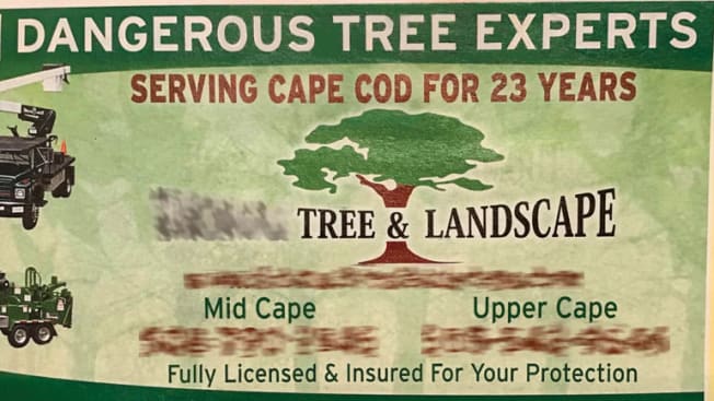 advertisement for "Dangerous Tree Experts"
