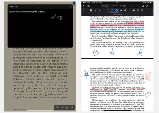 Screenshots from noted literature on Angela's iPad
