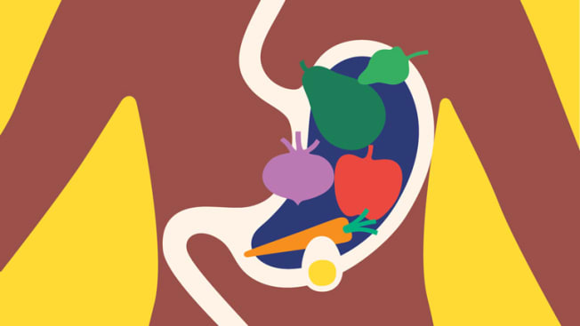 illustration of person's torso with stomach showing fruits and vegetables