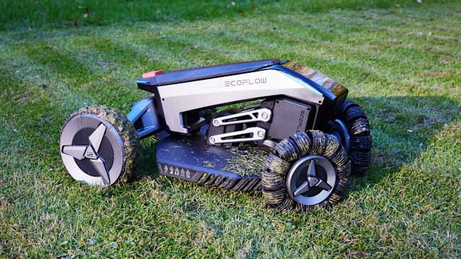 EcoFlow ZMH100 B US V20 robotic mower on lawn with fallen leaves