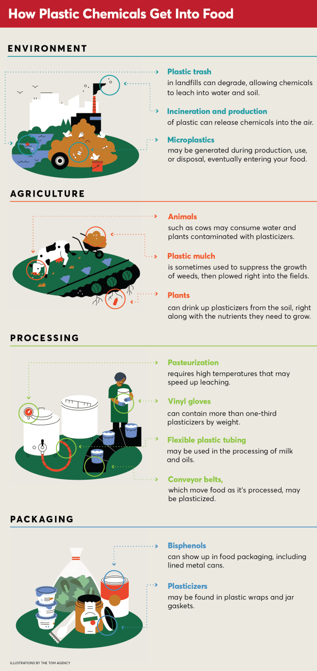 Plastic_Chemicals_Food_Web_2