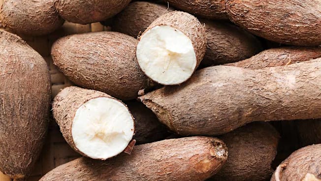 Cassava root