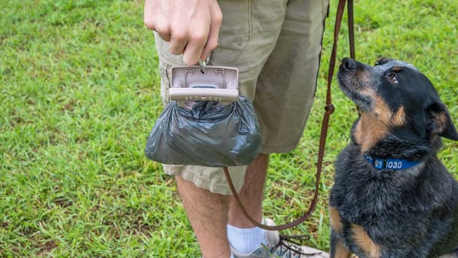 Man with dog holding Dog Buddy poop scooper