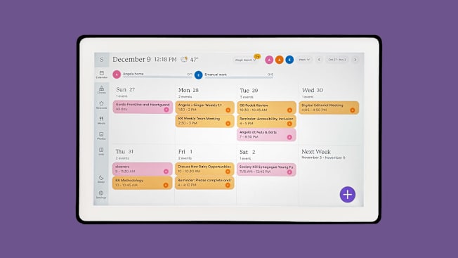 Digital Wall Calendars: Hearth Display vs Skylight Calendar Consumer
