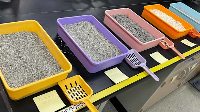 a row of litter boxes in a testing lab at Consumer Reports