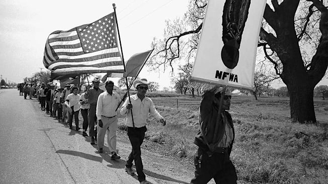 Grape pickers carry American flags and National Farm Workers Association banners as they march along a road from Delano to Sacramento to protest their low wages and poor working conditions.
