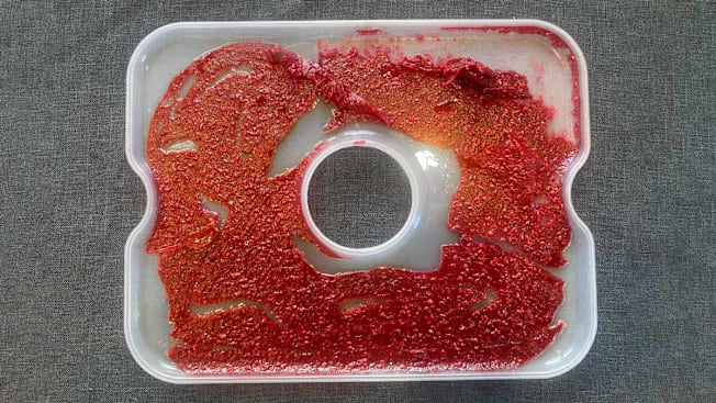 Fruit puree on Hamilton Beach food dehydrator tray