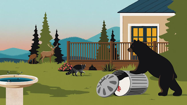 Illustration of animals in a backyard including deer, a racoon and a bear leaning on a garbage can