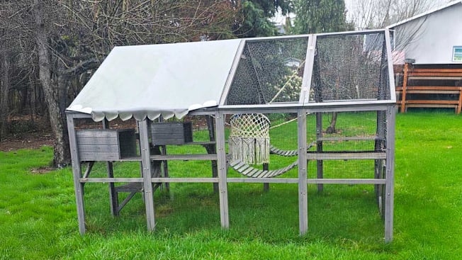 Amanda Arnold's catio