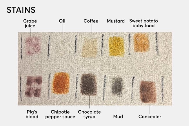 Beige carpet sample with 10 food stain patches identified as grape juice, oil, coffee, mustard, sweet potato baby food, pig's blood, chipotle sauce, chocolate syrup, mud, and concealer