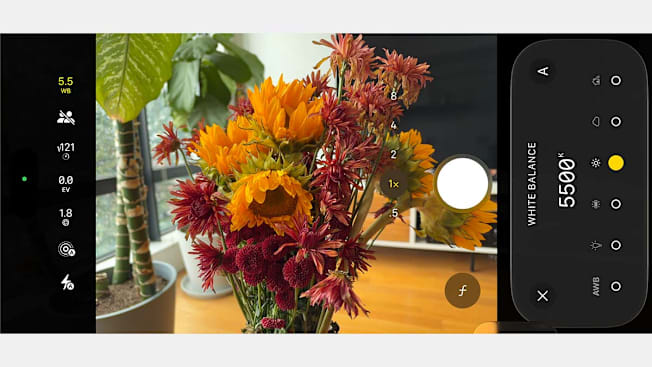 An iPhone 18 Pro camera interface in landscape mode displaying a live viewfinder framed on a colorful bouquet of sunflowers and mums. On the right, a white balance adjustment panel is open, showing a selected value of 5500K alongside various preset icons.