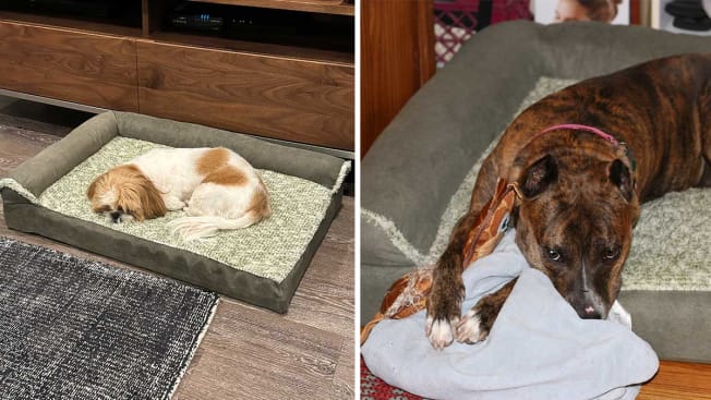 FurHaven Deluxe Chaise LoungeDog Bed cover