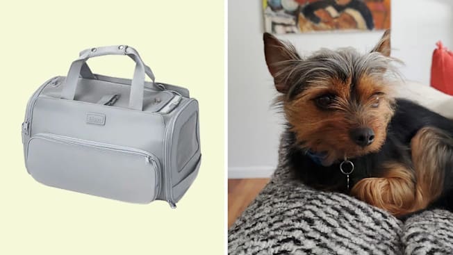 Diggs Passenger Travel Carrier cover