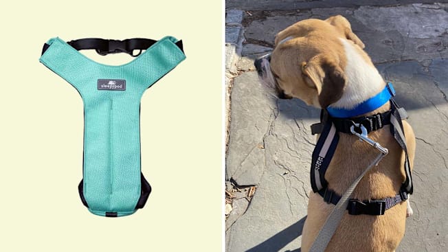 Sleepypod Clickit Sport Plus cover