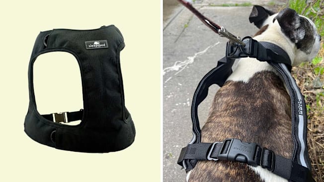 Sleepypod Clickit Terrain Plus cover