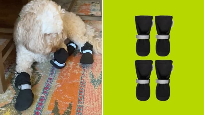 Canada Pooch Soft Shield Boots cover