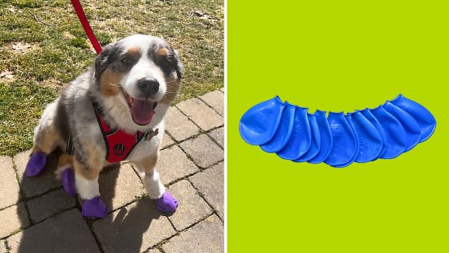 PawZ Rubber Dog Boots cover