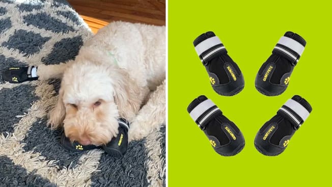 QUMY Dog Shoes cover