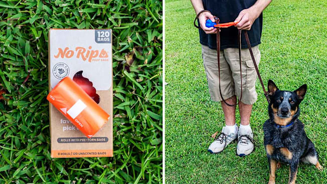 No Rip Tissue-Style cover