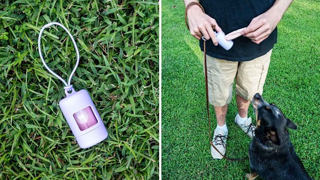 Wild One Bag Holder and Dispenser with Leash Attachment cover