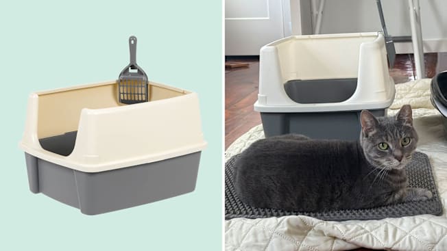Amazon Basics Large Cat Litter Box cover