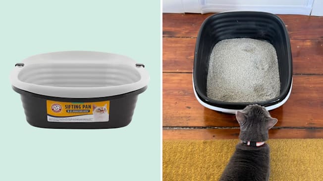 Arm & Hammer Sifting Litter Box cover