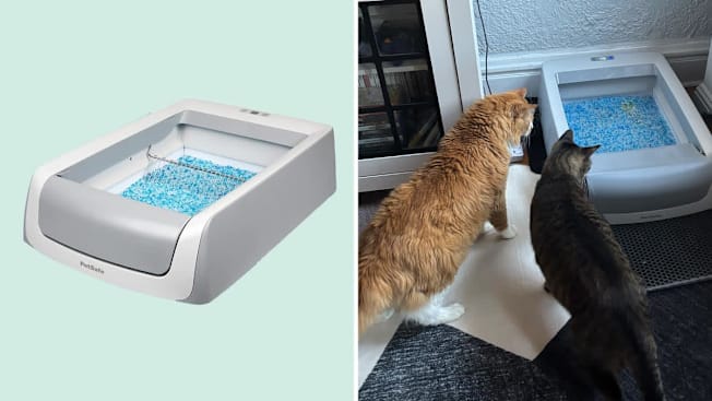 PetSafe ScoopFree Pro Self-Cleaning Litter Box cover