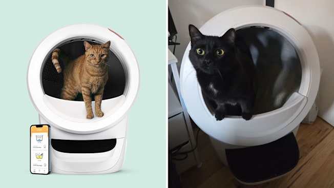 Whisker Litter Robot 4 cover