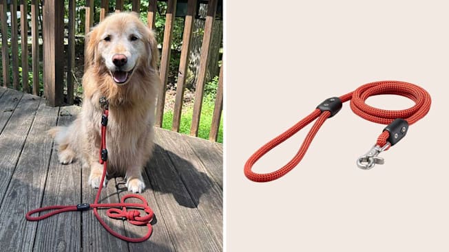 Atlas Pet Lifetime Leash cover