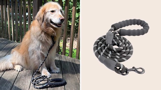 Baapet Reflective Rope Leash cover