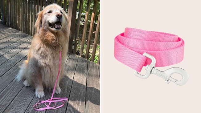 Frisco Nylon Leash cover