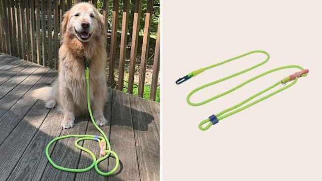 Zee.Dog Gotham Hands Free cover