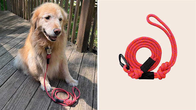 Wilderdog Sierra Small Carabiner leash cover