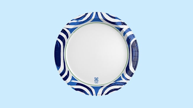 Dixie Ultra paper plate