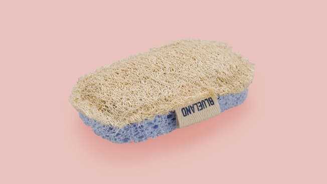 Blueland Scrub Sponge cover