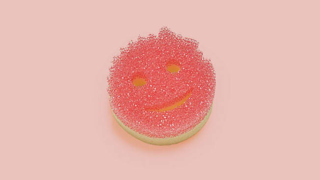 Scrub Daddy Scrub Mommy cover