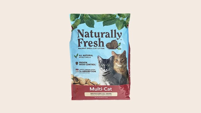 wet cat food without carrageenan FirstMate Salmon Formula Limited Ingredient Grain-Free Canned Cat Food, 12.2-oz, Case of 12