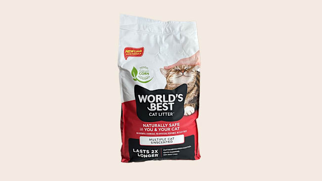 Best Cat Litters of 2026 - Consumer Reports
