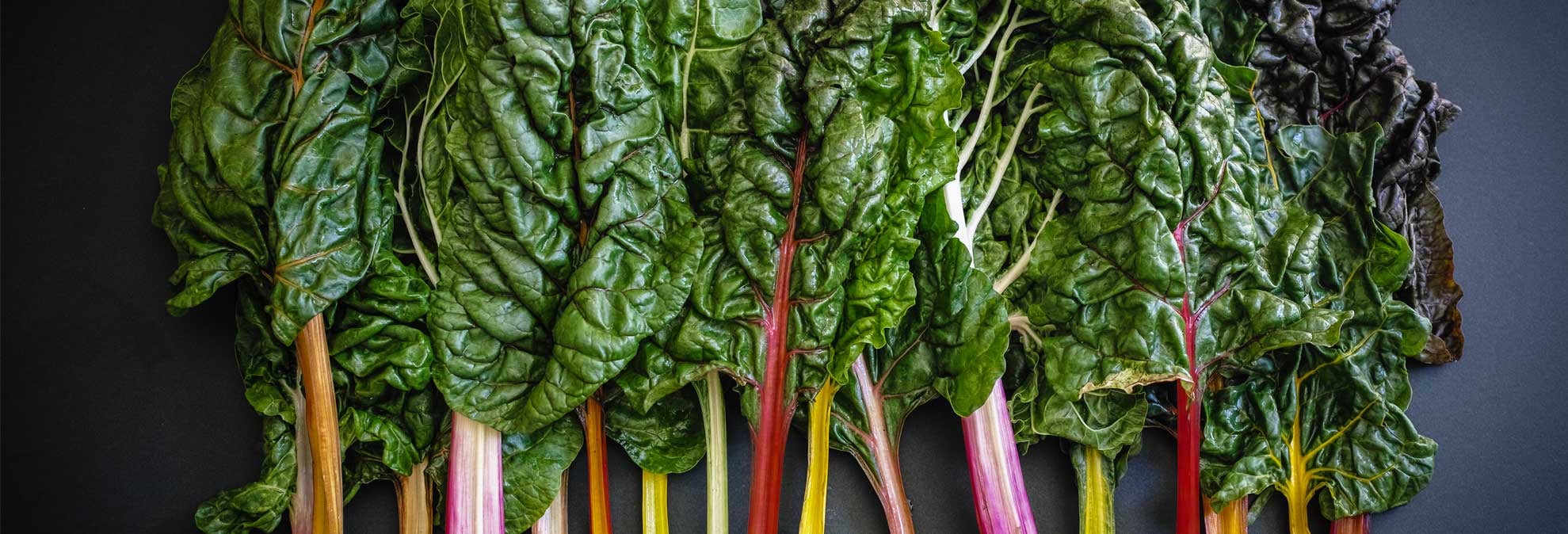 How to Get More Magnesium in Your Diet Consumer Reports