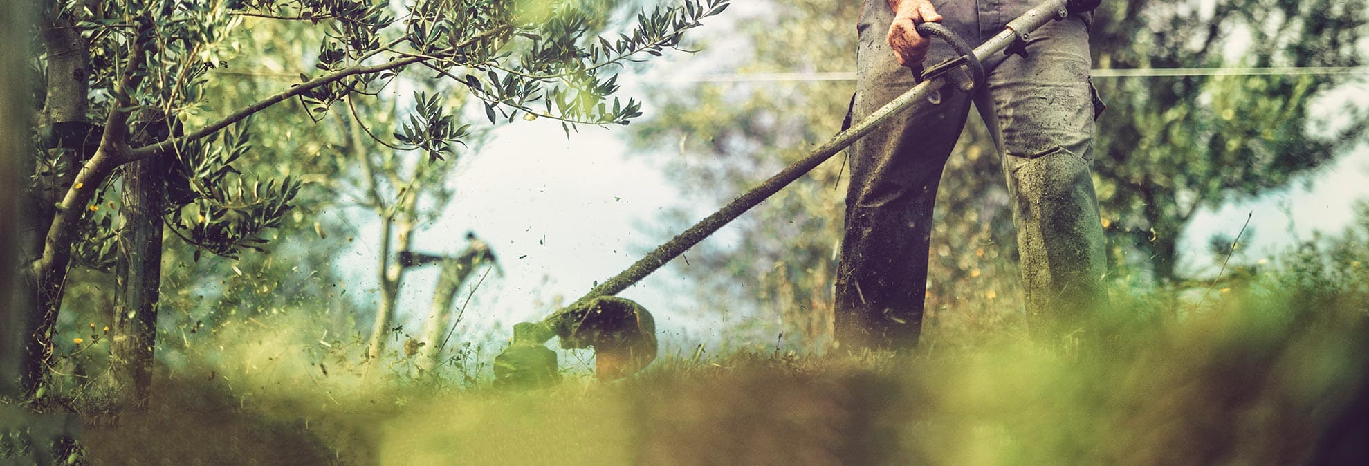 Best String Trimmers for Yard Cleanup Consumer Reports