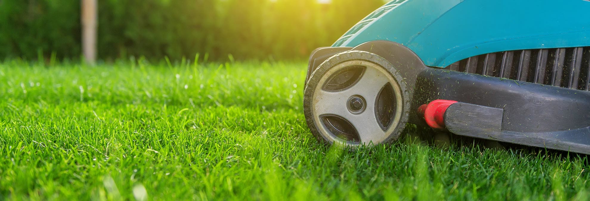 How Green Are Electric Lawn Mowers? Consumer Reports
