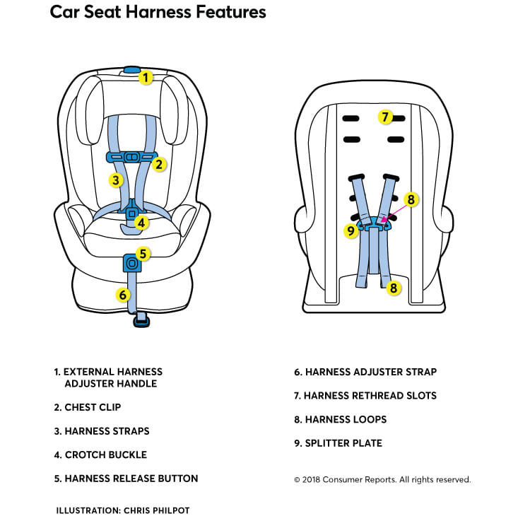 How to Properly Adjust Your Car Seat Harness - Consumer Reports