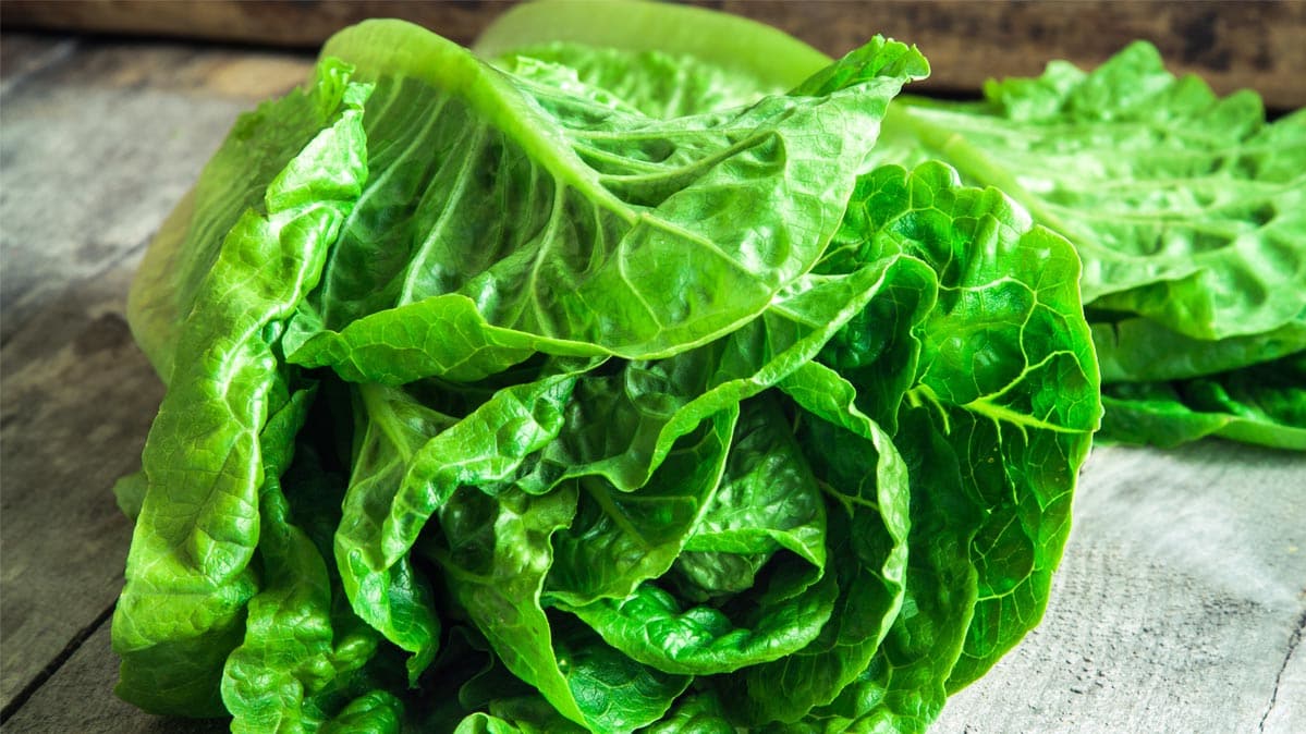 Romaine Lettuce E. Coli Cases Climb: What You Need to Know