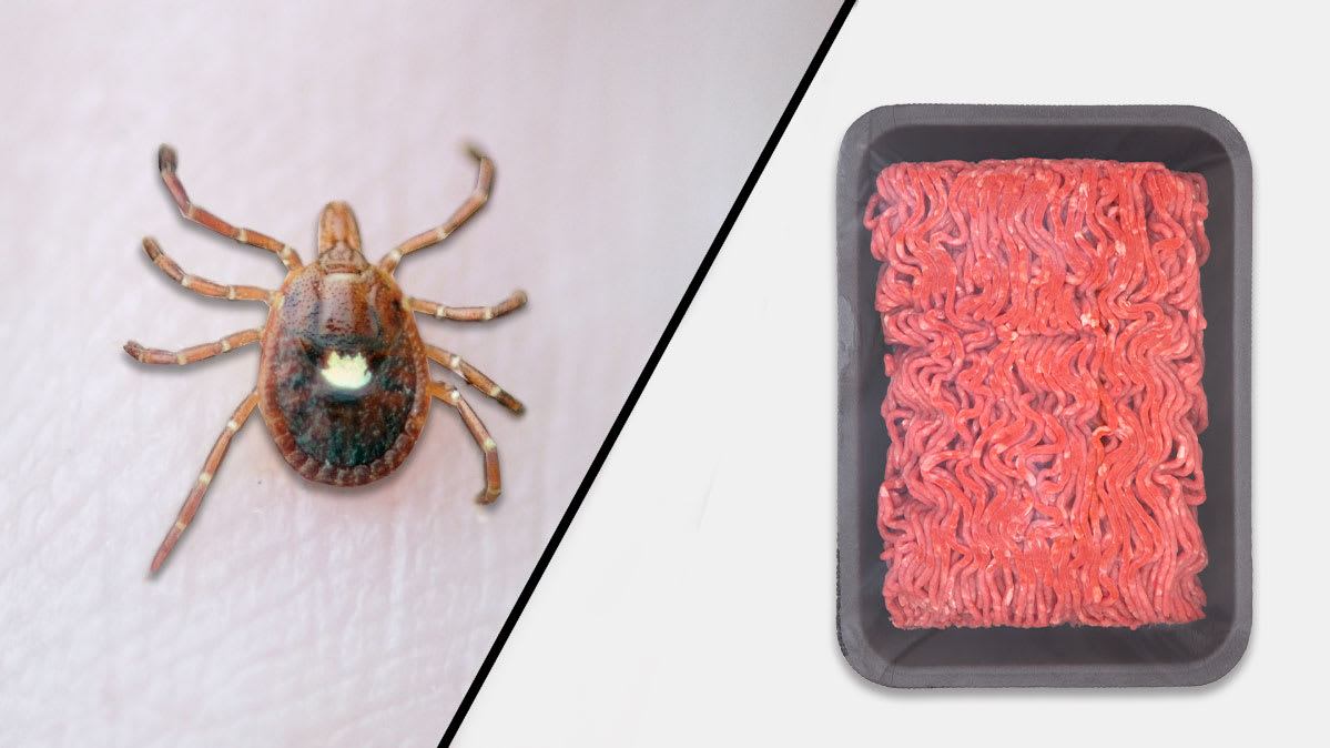 A close-up of a lone star tick, and an image of ground beef.
