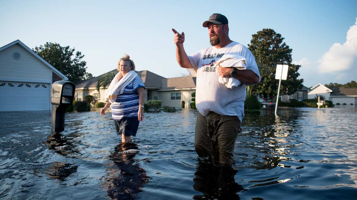 Essay help the flood victims