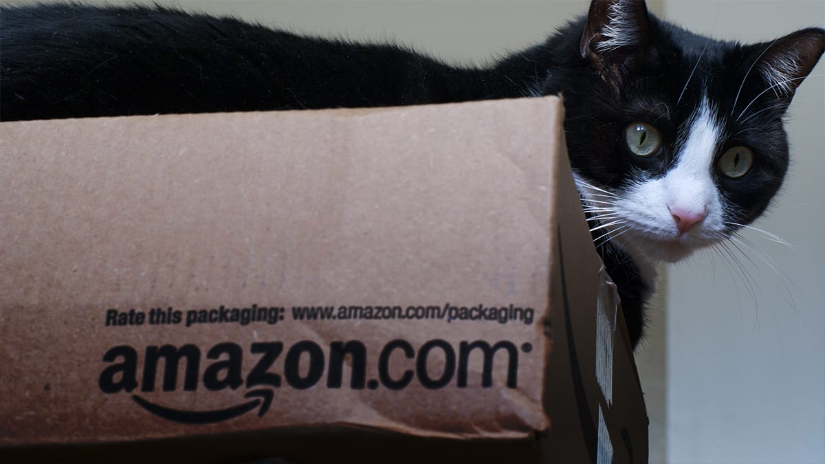 Hackers Targeting Amazon Third Party Sellers hackers-targeting-amazon-third-party-sellers